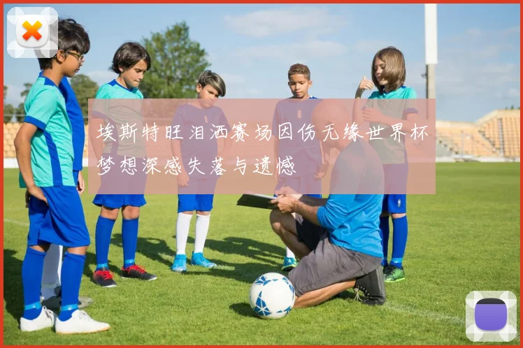 埃斯特旺泪洒赛场因伤无缘世界杯梦想深感失落与遗憾