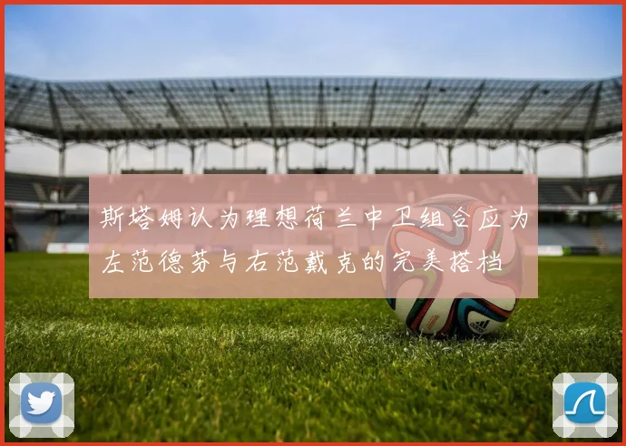 斯塔姆认为理想荷兰中卫组合应为左范德芬与右范戴克的完美搭档