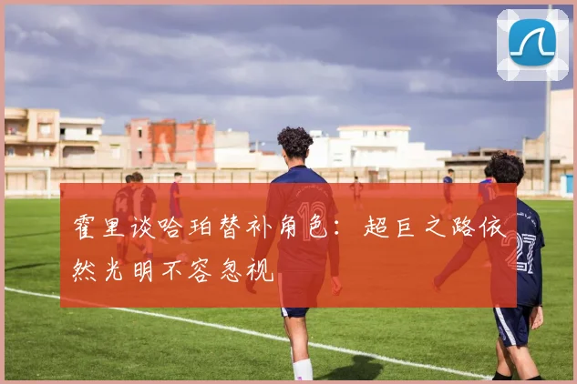 霍里谈哈珀替补角色：超巨之路依然光明不容忽视
